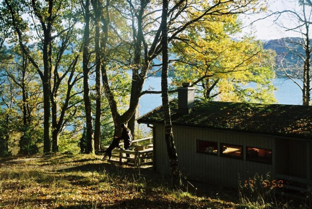 Hardanger Feriesenter Neshagen Villa Norheimsund Eksteriør billede
